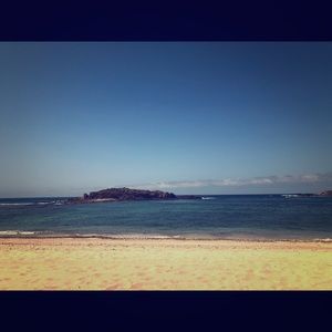 Meet your Posher, Shaunna